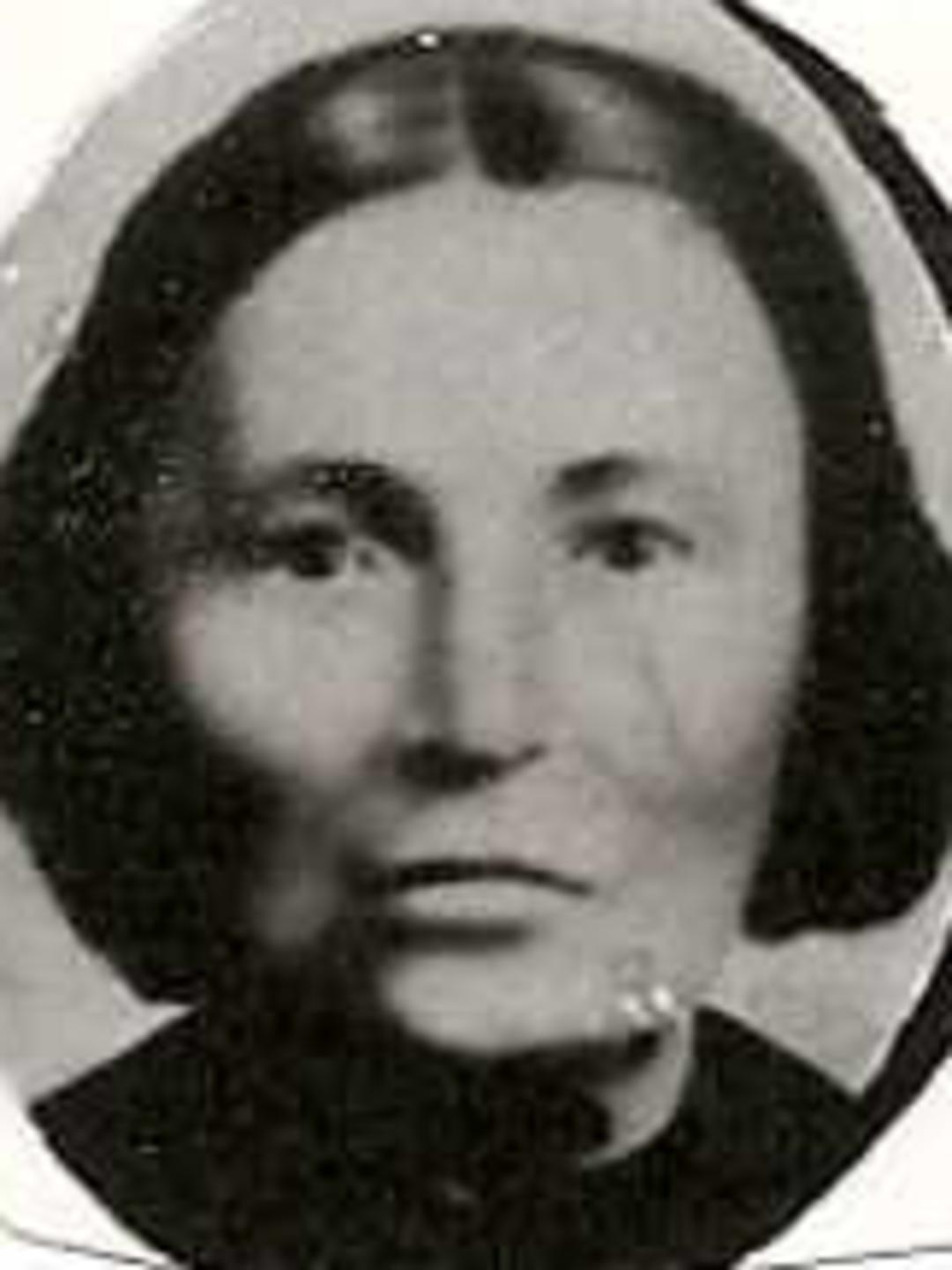 Sally Ann Snyder (1815 - 1895) Profile